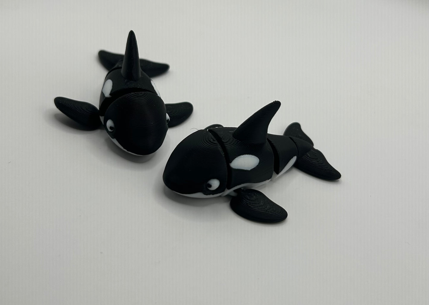 Lieve schattige orka's