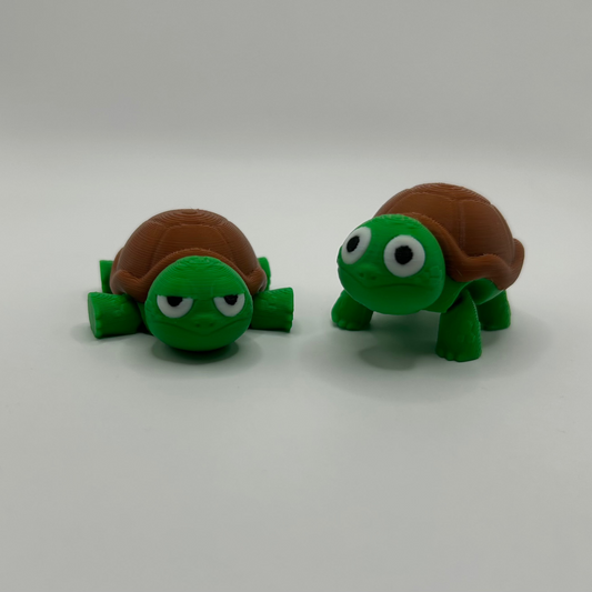 De luie en de blije schildpad